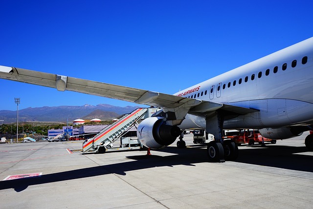 aeroporto los rodeos