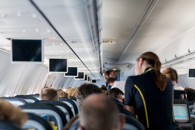 Flight attendant hostess  