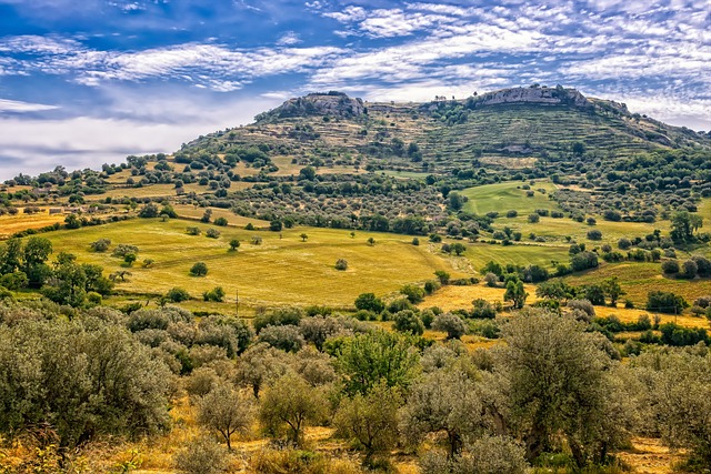  Campofranco  sicilia 