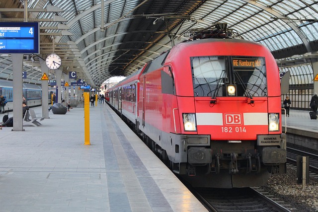 bagagli a mano aeroporto malpensa